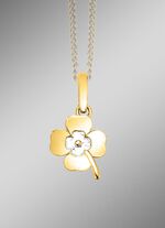 Tweekleurige klavertje-hanger 