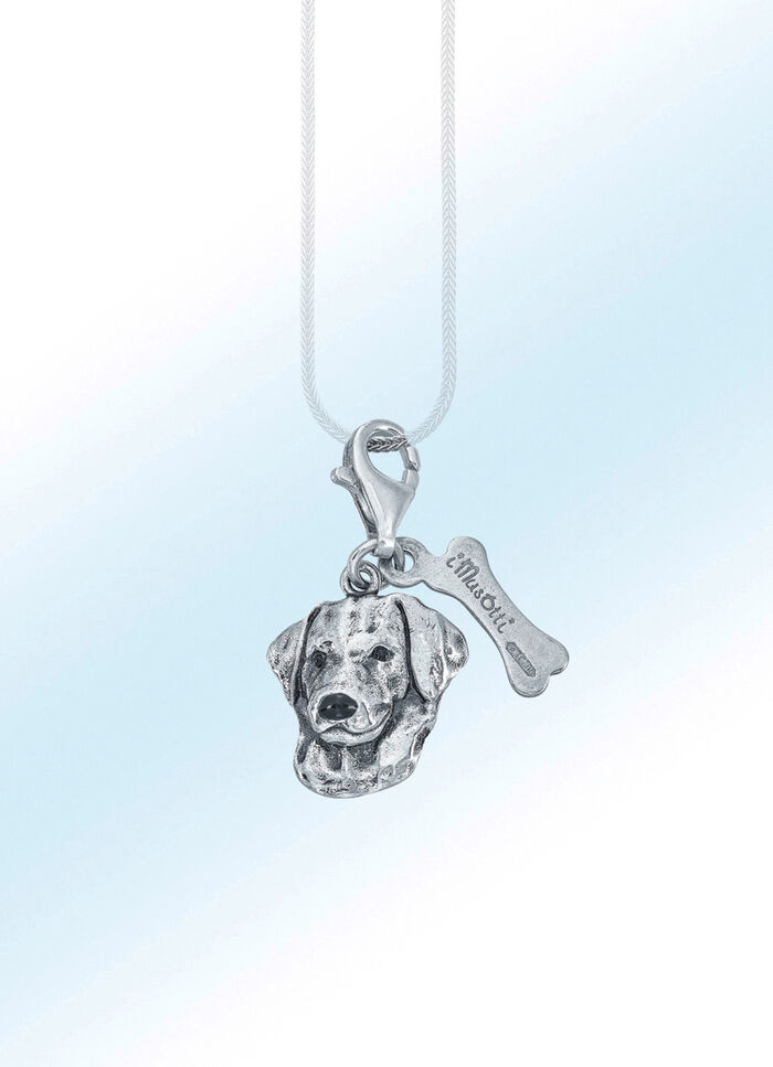 Voor hondenliefhebbers: interessante Labrador hanger 