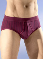 Schiesser set van twee slips met een gestreept dessin 2X BORDEAUX