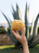 Badspons van natuurlijk materiaal 