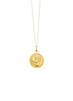 Glanzende kettinghanger 