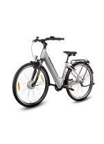 E-bike Comfort Plus 5.0 van Saxonette 