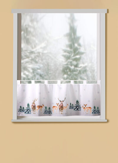 Korte poortherten in het bos 