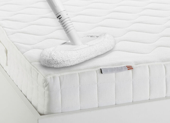 Genius Invictus hand- en vloerstoomreiniger 