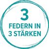 Logo_3Federn