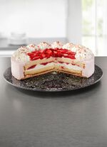 STONELINE&reg; serveerschaal van onbreekbaar glas 