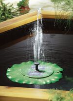 Waterlelie op zonne-energie 