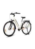 E-bike Comfort Plus 5.0 van Saxonette 