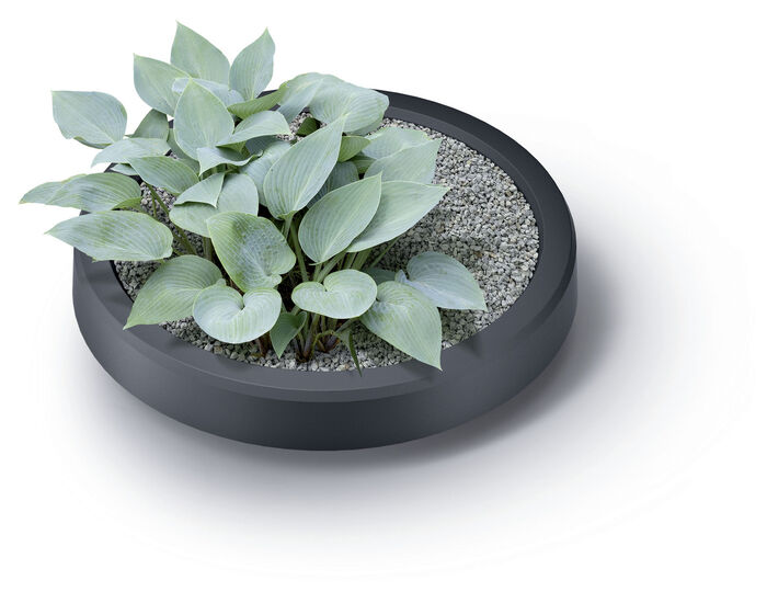 Regenton &ldquo;Maze&rdquo;, antraciet 