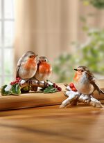 Vogel van het jaar 2021 