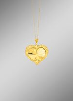 Gediamanteerde en gesatineerde harthanger met structuur 