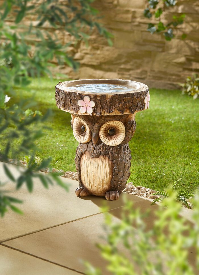 Uil als vogelbad of plantenpodium 