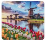 Glazen wandpaneel met molenmotief 