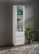 Vitrine in modern design 
