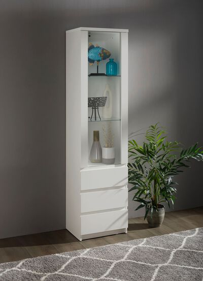 Vitrine in modern design 