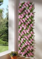 Verlicht wandrooster 