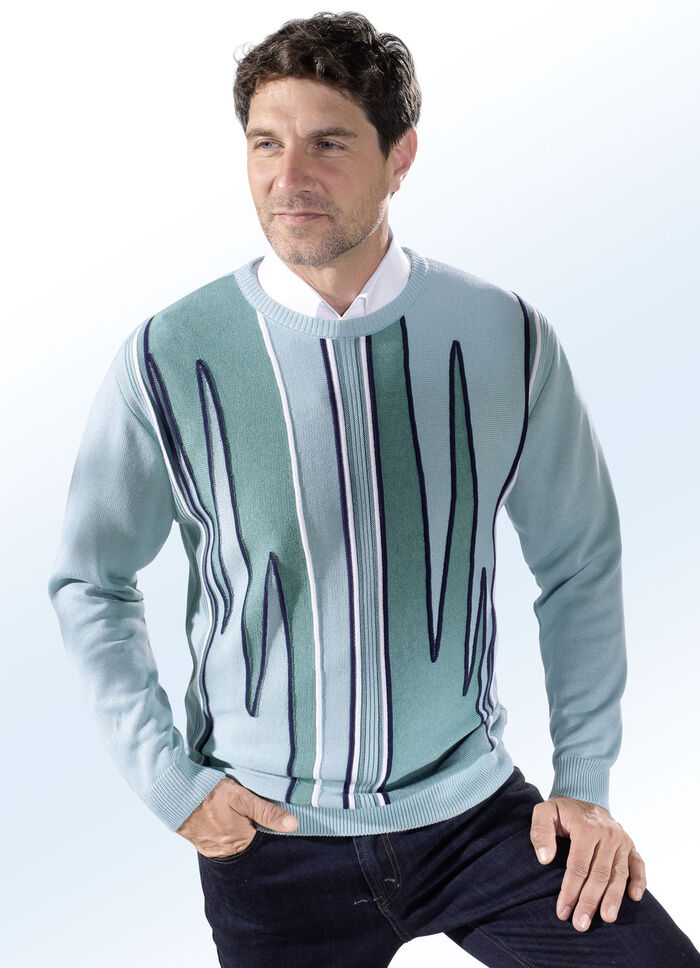 Trui met ronde hals in 2 kleuren JADE