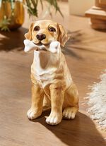 Schattige hond met bot 