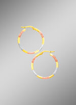 Chique oorringen in driekleur 