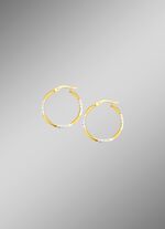 Mooie diamanten oorringen 