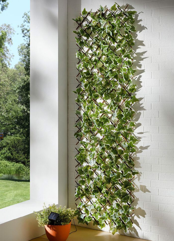 Verlicht wandrooster 