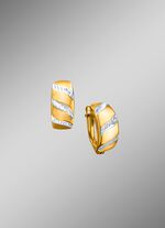 Tweekleurige oorringen 