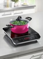 Inductiekookplaat van CASO 