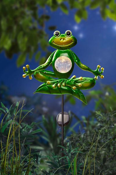 Yoga kikker op grondpen 