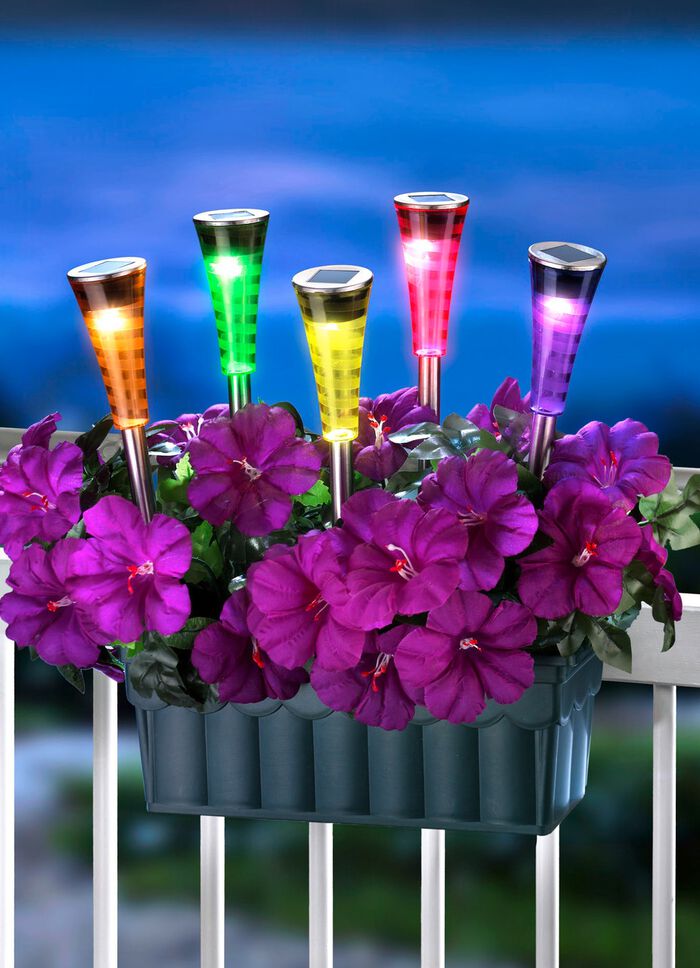 Tuinsteker op zonne-energie, set van 5 