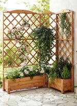 Plantenlatwerk van ge&iuml;mpregneerd grenenhout 