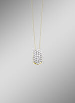 Edele hanger met diamanten 