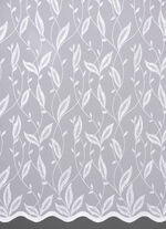 Bewaren met bladranken 