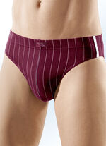 Set van vier slips, gestreept 