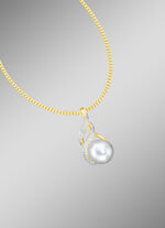 Stijlvolle hanger met ketting 