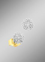 Oorbellen met briljanten 