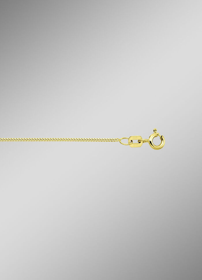 Stijlvolle platte kinketting van goud 