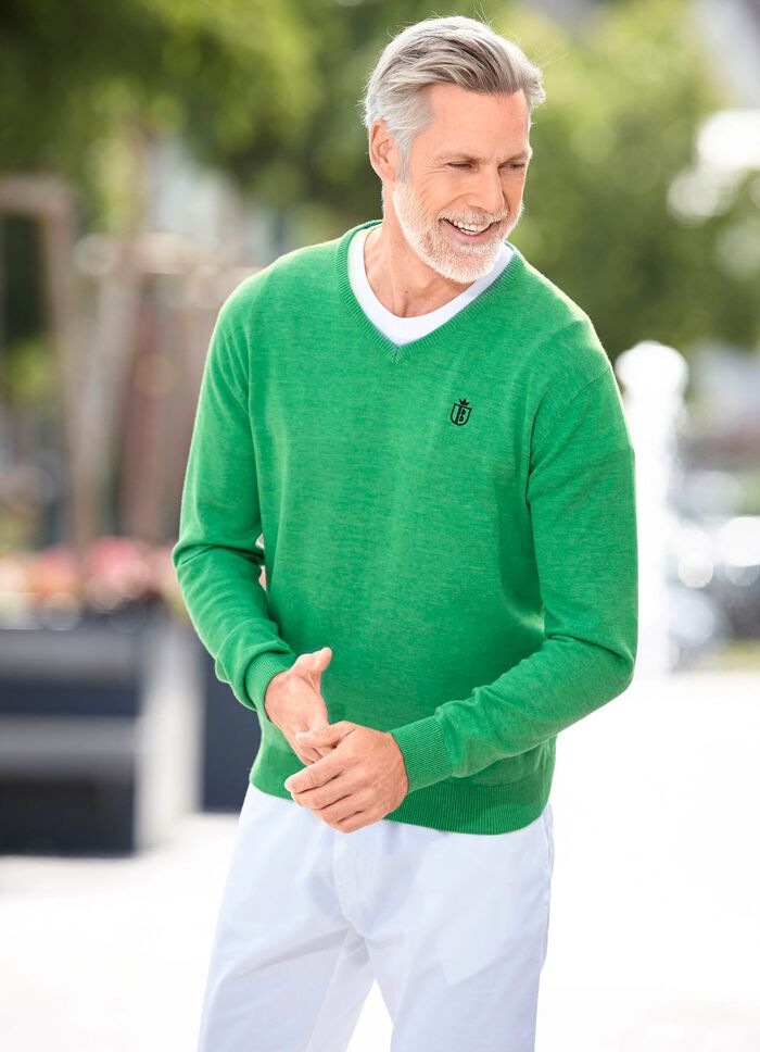 Modieuze trui met V-hals in 6 kleuren 