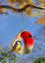 Handgeschilderde keramische vogelvoederbak ROOD