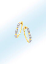 Creoolse oorbellen met diamanten 