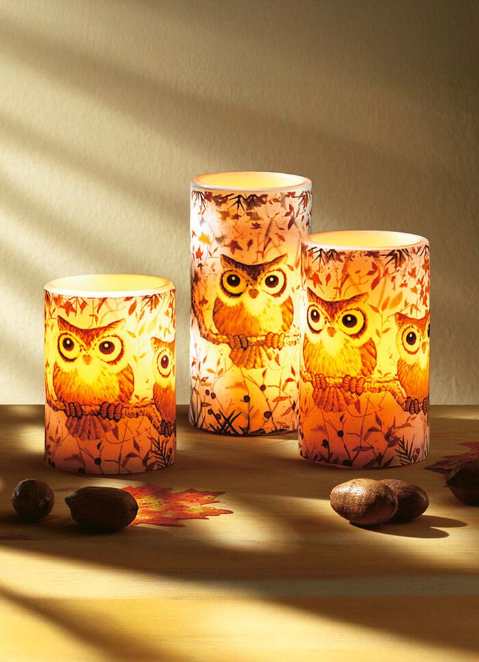 Echte waskaarsen met leds met uilenmotief, set van 3 