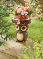 Uil als vogelbad of plantenpodium 