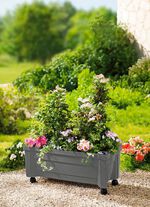 Plantenbak op wielen met peil voor waterstand 