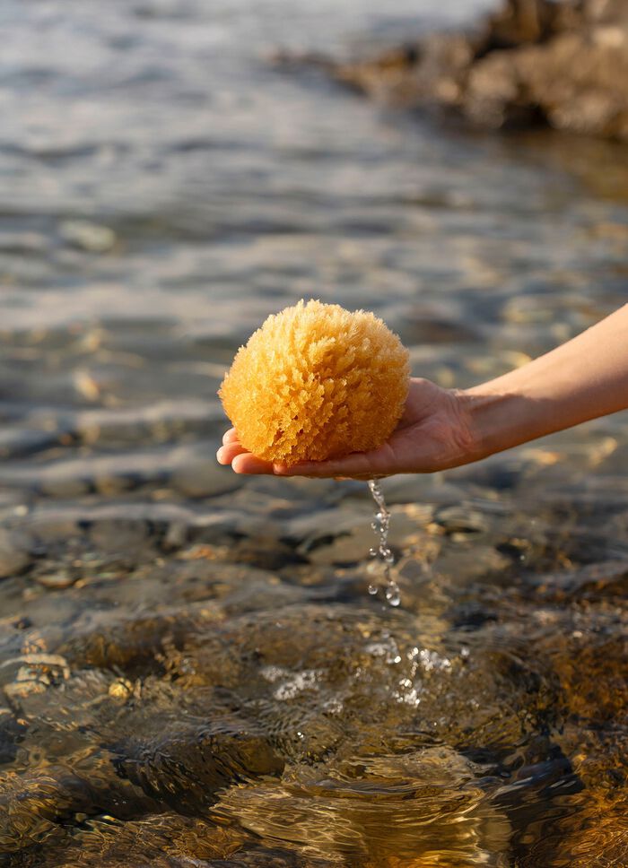 Natuurspons 11 cm NATUUR