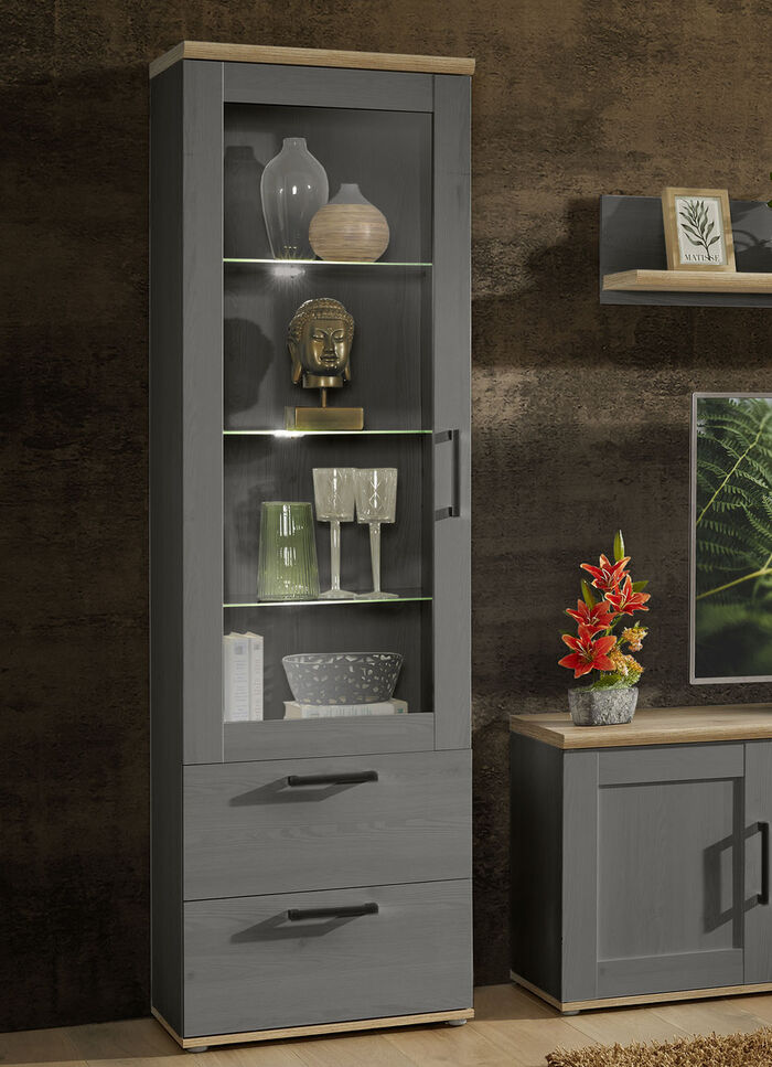 Vitrine, 1 deur, LED-verlichting. GRIJZEIK