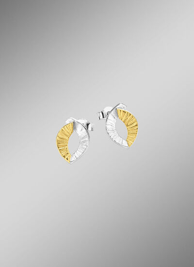 Tweekleurige oorbellen 