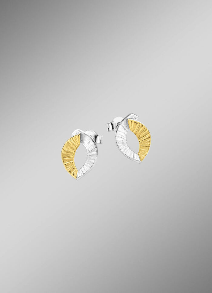 Tweekleurige oorbellen 