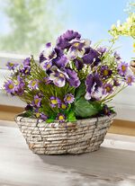 Viooltjes en madeliefjes in een rieten mand 