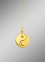 Geweldige hanger met Yin en Yang motief 