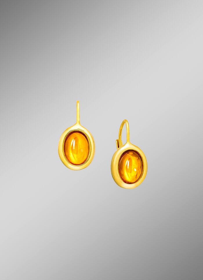 Tijdloze, elegante oorbellen met echt barnsteen 