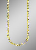 Fantasiehalsketting met pantserplaten, gediamanteerd en glanzend 